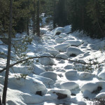 Snowy Creek