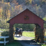 Carriage Ride Stowe