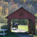 Carriage-Ride-Stowe