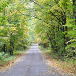 Cool-Country-Road