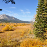 Fall-at-Taylor-Creek