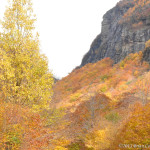 Gold-at-Stowe-Vermont