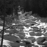 Snowy Creek