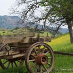 country-wagon